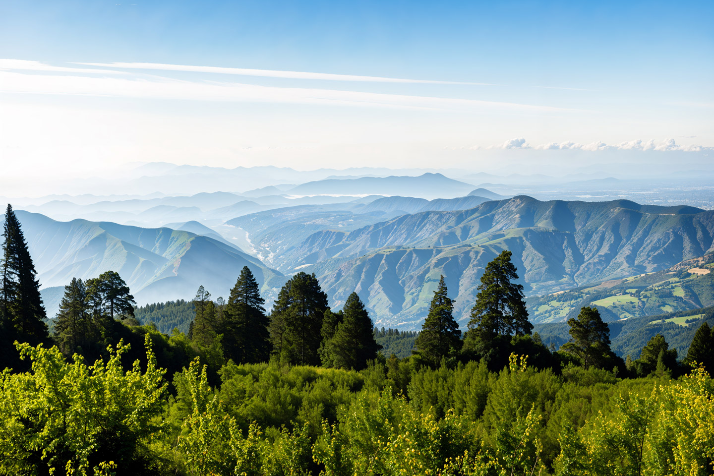 Fed to Markets: See You in 2026!