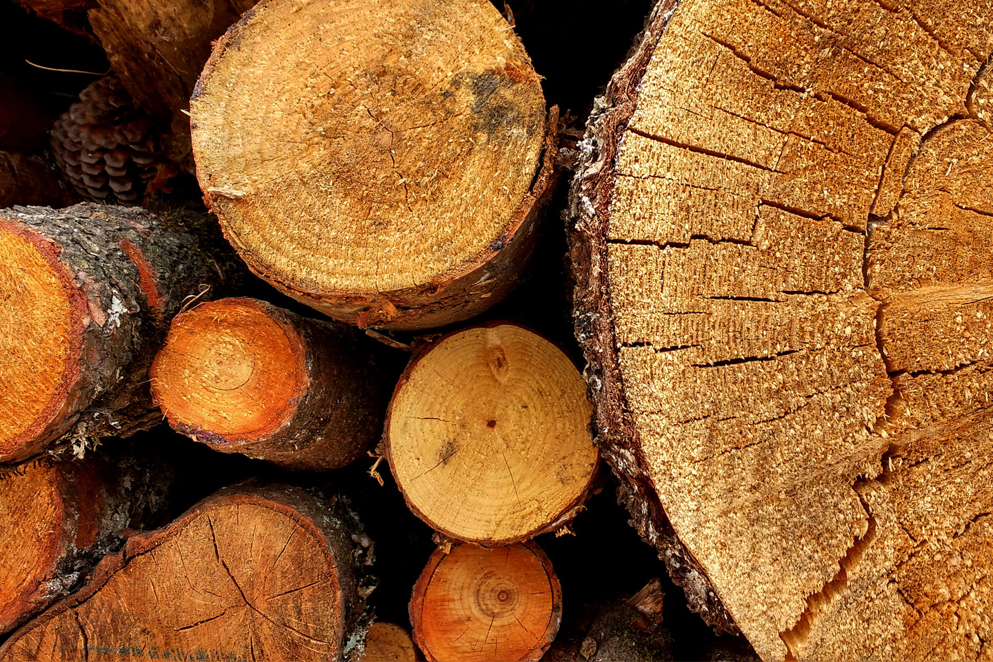 Bond Markt 2026 – Ein Jahr klarer Signale und außergewöhnlicher Chancen