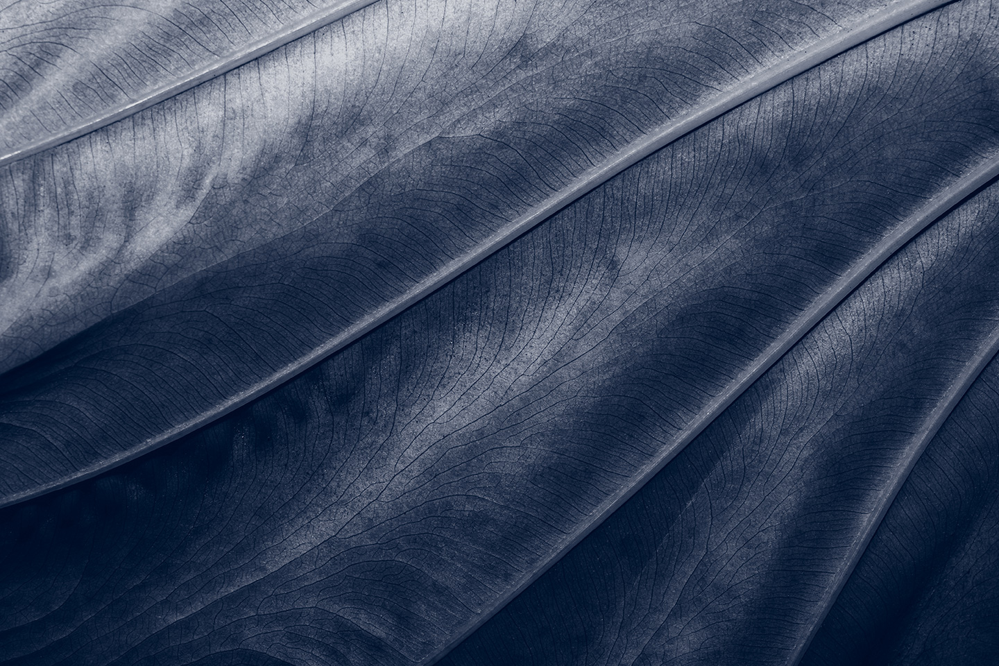 COP30: Short on Beds, Long on Policy Uncertainty