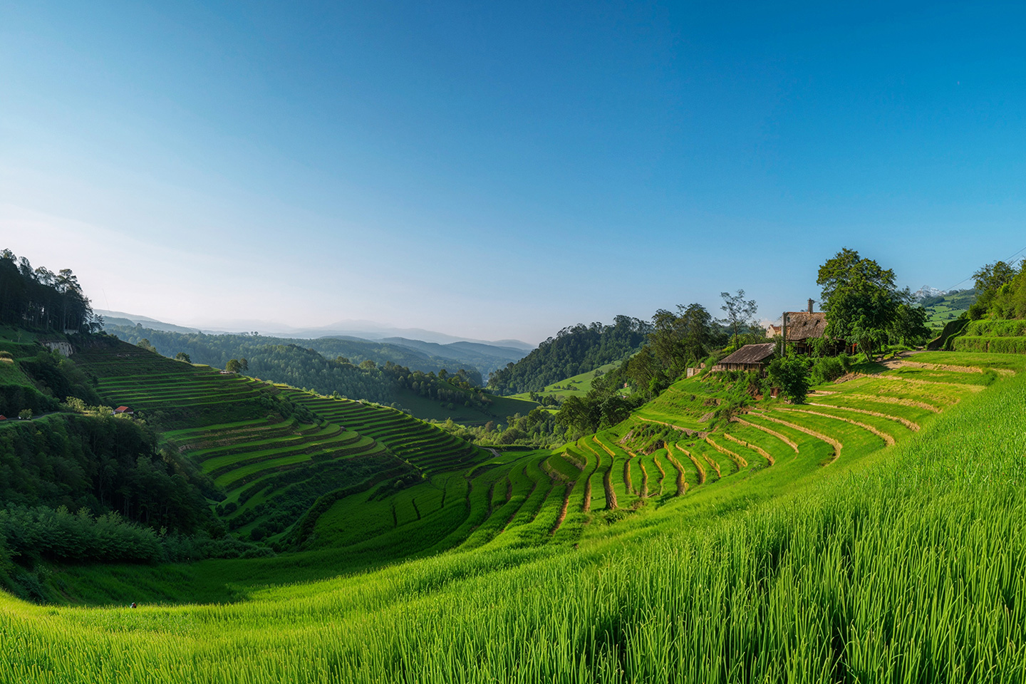 Emerging Markets: Back in the Spotlight