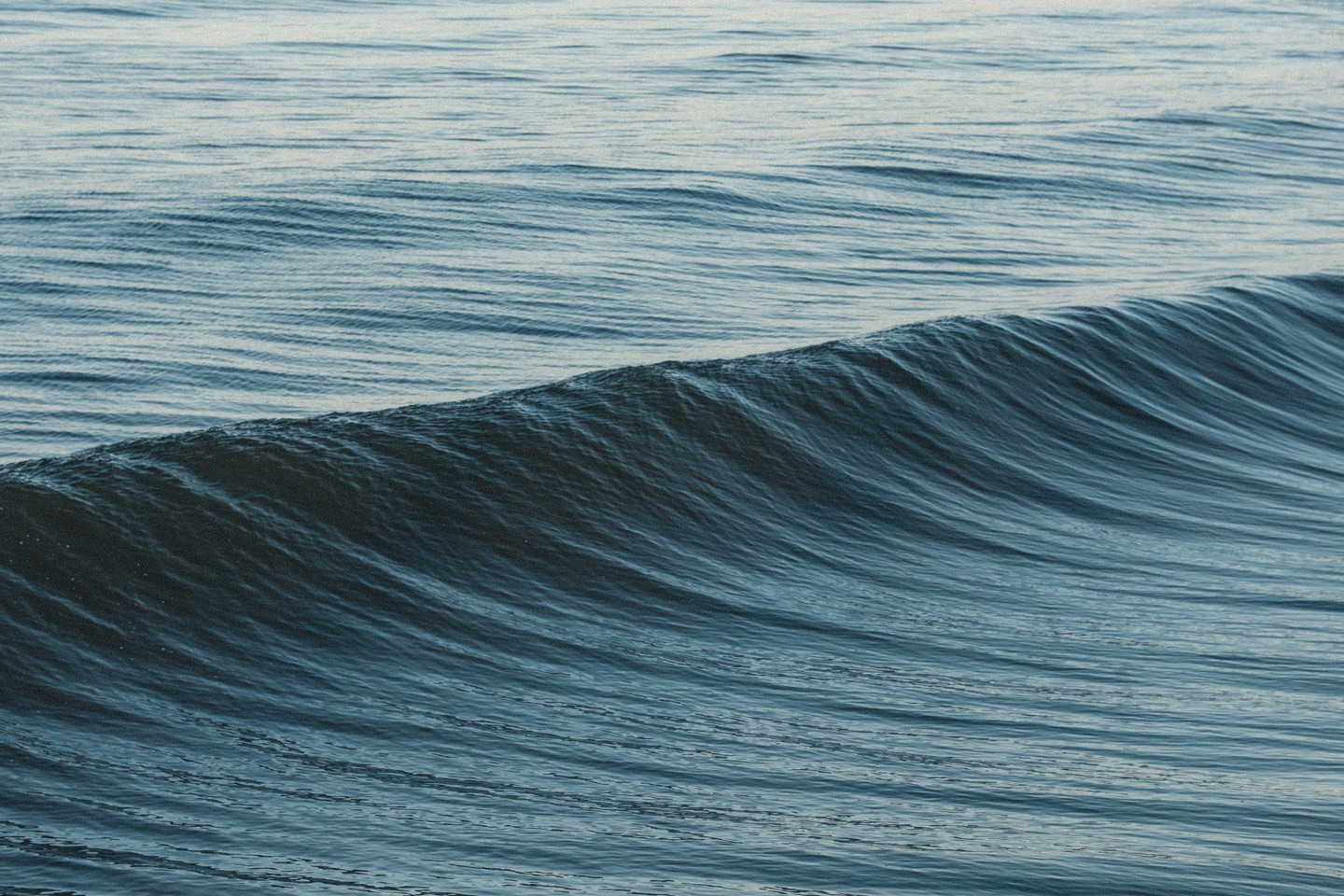 What July’s Historic Risk Rotation Could Mean for Investors