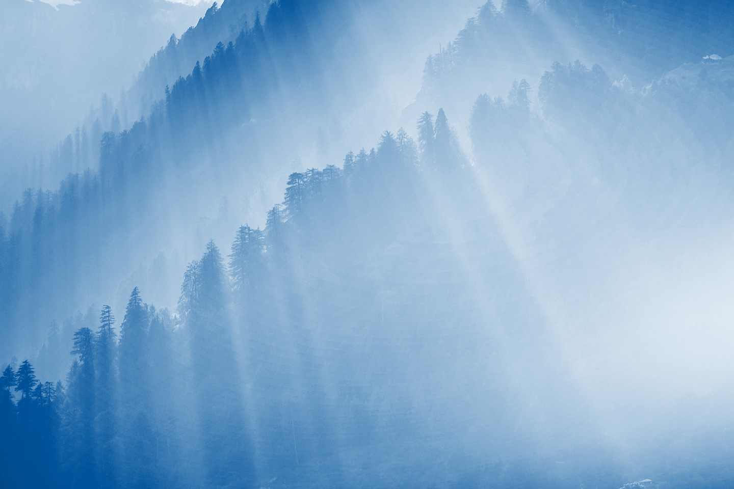 Understanding the Unique Liquidity Structure of ETFs