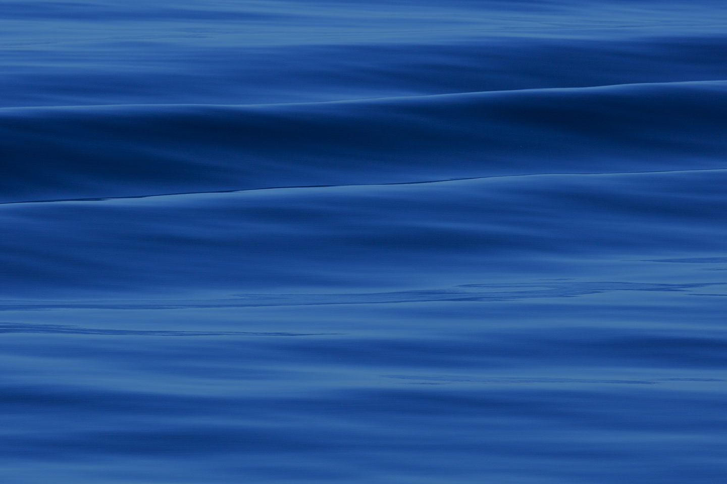 Inside Lazard Next Gen Technologies ETF [Video]