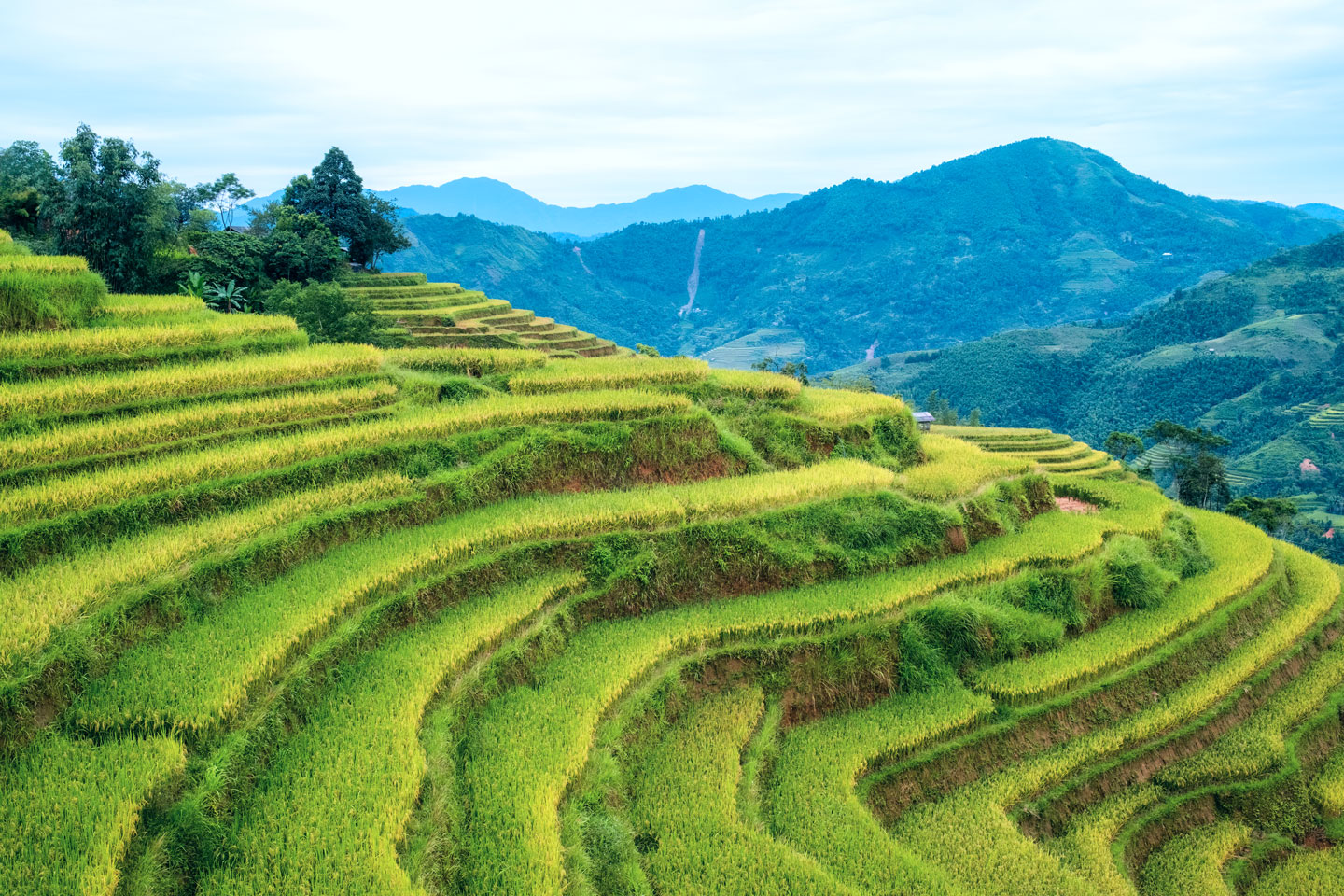 x. Emerging Markets: What Investors Should Know [Video]
